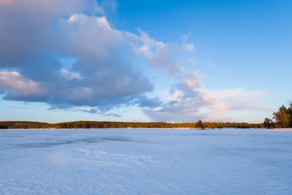 雪の上に劇的な空 凍結Kuito湖 背景に針葉樹林覆われた 冬の日没 カレリア ノース ラップランド — ストック写真