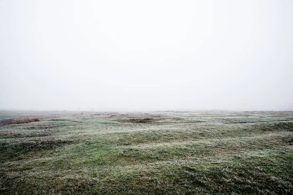 Winter Landscape Misty Morning Field Frost Snow Grass Latvia — Stock Photo, Image