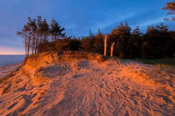 Stunning Sunset Clouds Baltic Sea Coast Latvia Sand Dunes Pine — Stock Photo, Image