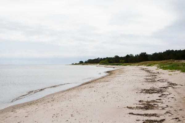 Utsikt Över Östersjöns Strand Mulen Sommardag Grönt Gräs Och Tallar — Stockfoto