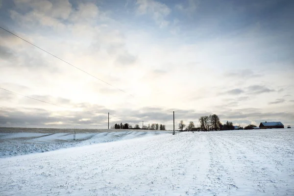 Panoramautsikt Över Det Snötäckta Fältet Vid Solnedgången Hus Landet Och — Stockfoto