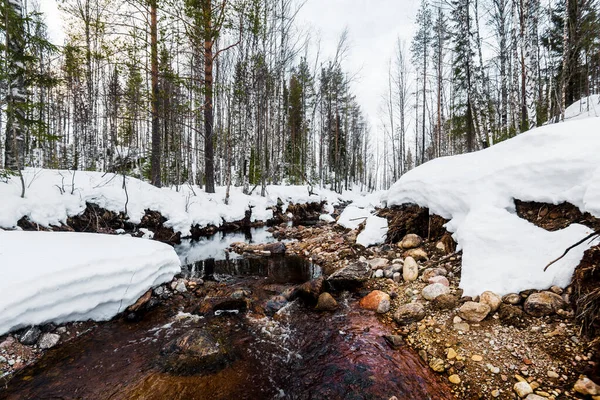 在白雪覆盖的森林中 一条野生河流的景象 石头特写 冬季风景 卡累利阿北区拉普兰 — 图库照片