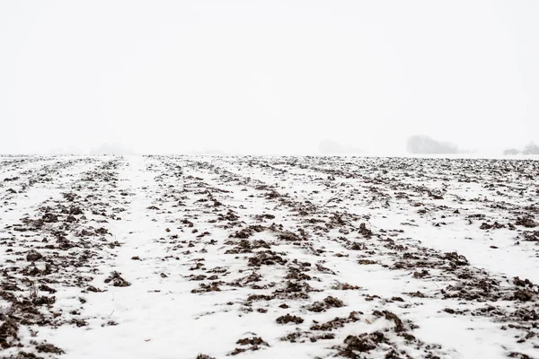 View Snow Covered Country Field Forest Background Cloudy Winter Day — Stock Photo, Image