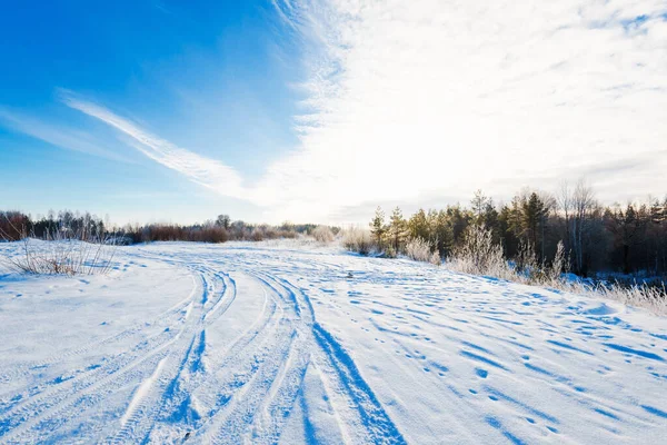 Snow Covered Rural Road Field Frosty Birch Fir Trees Sunny — Stock Photo, Image