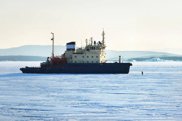 砕氷船の接近 コラ半島のカンダラクシャ湾 山や森の海岸の空中ビュー カレリア ロシア — ストック写真