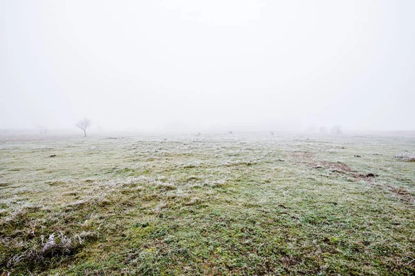 Zimowy Krajobraz Mgliste Pole Poranne Mróz Śnieg Trawie Łotwa — Zdjęcie stockowe