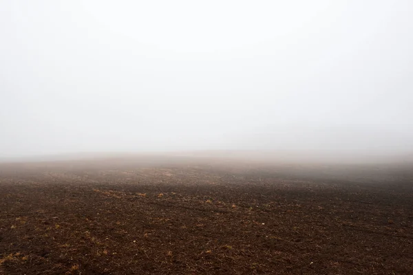 Landschaften Ein Leeres Landwirtschaftliches Feld Starken Morgennebel Wald Und Häuser — Stockfoto