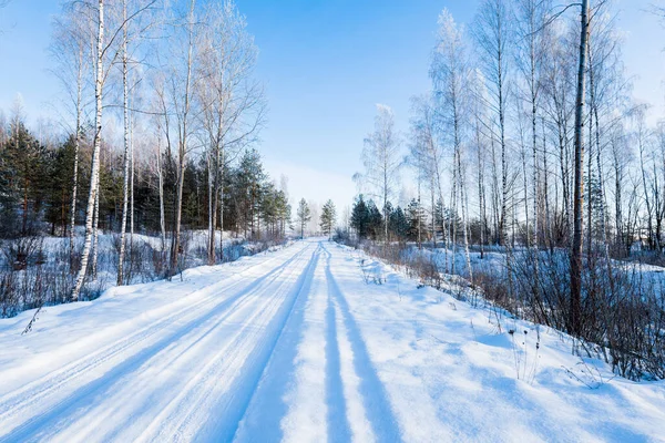 晴れた冬の日には 雪原と霜降りの白樺やモミの木を通って農村部の道路をカバー 新鮮な雪の中で車のトラック ラトビアのウルブロカ — ストック写真