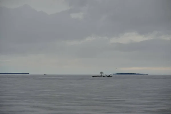 Vue Lac Gelé Onega Après Blizzard Une Île Avec Arbre — Photo