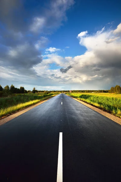 Een Lege Asfaltweg Door Groene Landbouwvelden Met Een Bos Achtergrond — Stockfoto