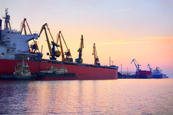 Grande Nave Gru Carico Nel Porto Riga Lettonia Tramonto Gru — Foto Stock