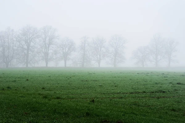 Krajina Prázdné Zemědělské Pole Silné Ranní Mlze Les Domy Pozadí — Stock fotografie