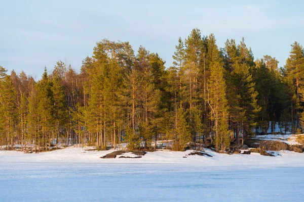 Dramatisk Himmel Ovanför Den Snötäckta Frusna Floden Gamla Vintergröna Träd — Stockfoto