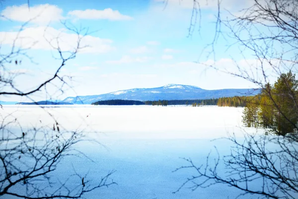 冰封湖景全景 后面是白雪覆盖的高山和针叶林 晴朗的蓝天 Kola Peninsula Murmansk Region Polar Circle Karelia — 图库照片