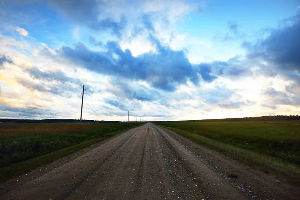 Een Onverharde Weg Door Een Groene Gewas Landbouwvelden Bij Zonsondergang — Stockfoto