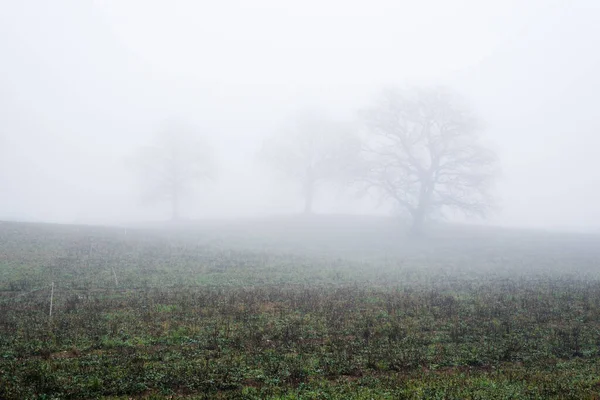 Αγροτικό Τοπίο Ένα Άδειο Αγροτικό Χωράφι Μια Δυνατή Πρωινή Ομίχλη — Φωτογραφία Αρχείου