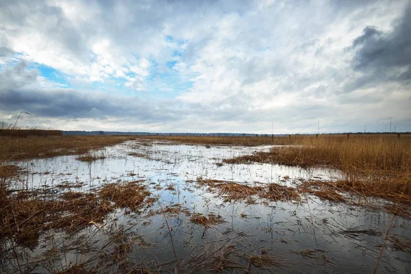 Dramatisk Himmel Ovanför Fältet Före Regnet Lettland Flödesvatten Atmosfärisk Vårlandsbygd — Stockfoto
