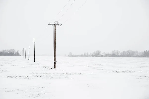 Widok Zaśnieżone Pole Wiejskie Lasem Tle Pochmurny Zimowy Dzień Łotwawidok — Zdjęcie stockowe