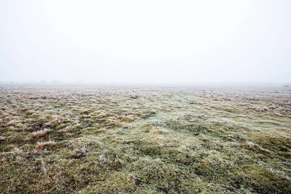 Paesaggio Invernale Campo Nebbioso Mattutino Gelo Neve Sull Erba Lettonia — Foto Stock