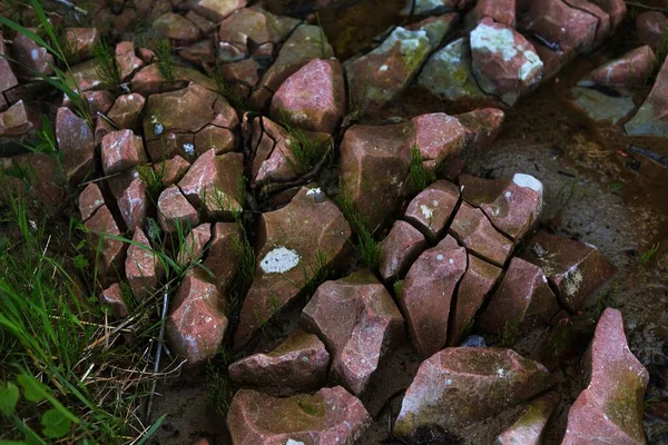 Kövek Zöld Textúra Közelkép Balti Tenger Észtország — Stock Fotó