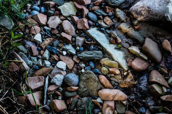 Piedras Hierba Verde Textura Cerca Mar Báltico Estonia — Foto de Stock