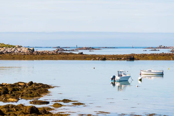 Yachter Och Båtar Seglar Lilia Bay Nära Vierge Fyr Solig — Stockfoto