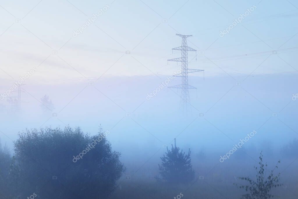 Field and young trees after deforestation in a thick fog at sunrise. Latvia. Electricity power line in the background. Concept landscape. Ecology, ecological issues, environment, environmental damage