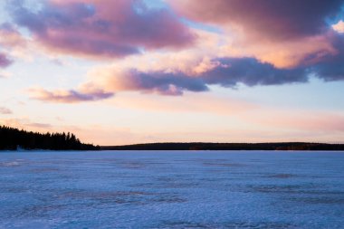 Karla kaplı donmuş Kuito gölünün üzerinde dramatik bir günbatımı gökyüzü, arka planda kozalaklı bir orman. Kış kır manzarası. Renkli bulutlar. Karelya Kuzey, Laponya