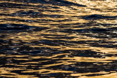 Koyu su dokusu. Gün batımında Baltık Denizi. Akşam güneşi