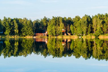Kır manzarası. Orman nehri manzarası, arka planda ağaçlar ve evler. Sudaki yansımalar. Letonya