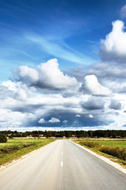 Güneşli bir yaz gününde yeşil tarlalarda boş bir köy yolu. Arka planda orman var. Mavi gökyüzü ve beyaz fırtına bulutları. Letonya