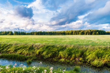 Gün batımında yeşil alan ve küçük bir nehir. Arka planda orman var. Yağmurdan sonra renkli akşam bulutları. Letonya
