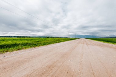 Bulutlu bir sonbahar gününde yeşil tarım tarlaları boyunca uzanan boş toprak toprak yol manzarası, arka planda orman. Letonya