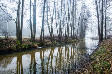 Karanlık orman manzarası. Bulutlu bir kış gününde sislerin içinde bir nehir ve ağaçlar. Letonya