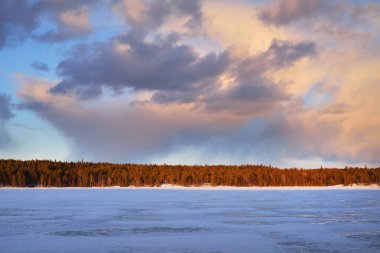 Karla kaplı donmuş Kuito gölünün üzerinde dramatik bir günbatımı gökyüzü, arka planda kozalaklı bir orman. Kış kır manzarası. Renkli bulutlar. Karelya Kuzey, Laponya