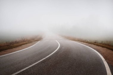 Kır manzarası. Güçlü bir sabah sisinin içinde boş bir asfalt yol. Orman ve arka planda evler. Letonya