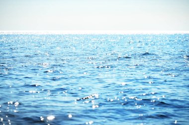 The calm water. A view of the Baltic sea on a sunny summer day. Blue water against the clear sky. Beautiful morning light clipart