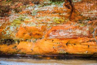 Kış orman manzarası. Nehir kenarındaki kayalıklar ve arka planda çam ağaçları. Gauja Ulusal Parkı, Letonya