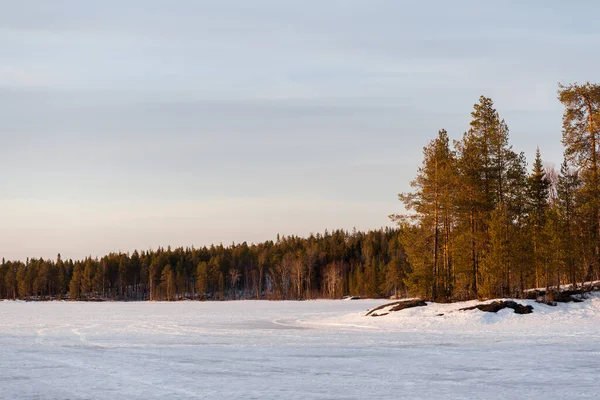 Dramaattinen Taivas Lumen Peittämän Jäätyneen Joen Yläpuolella Vanhoja Ikivihreitä Puita — kuvapankkivalokuva