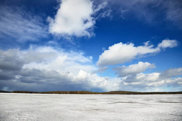雪の上に劇的な空 凍結Kuito湖 背景に針葉樹林覆われた 冬の田園風景 カレリア ノース ラップランド — ストック写真