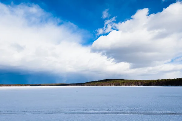 在雪地覆盖的雪地上 蔚蓝的蓝天冻结了奎托湖 背景是针叶林 冬季乡村风景 暴风云 卡累利阿北区拉普兰 — 图库照片