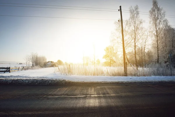 冬の森の風景 空の田舎のアスファルトの道路 背景には雪に覆われた白樺の木や家 太陽の光と純粋な夜の光 澄んだ青い空 ラトビア — ストック写真