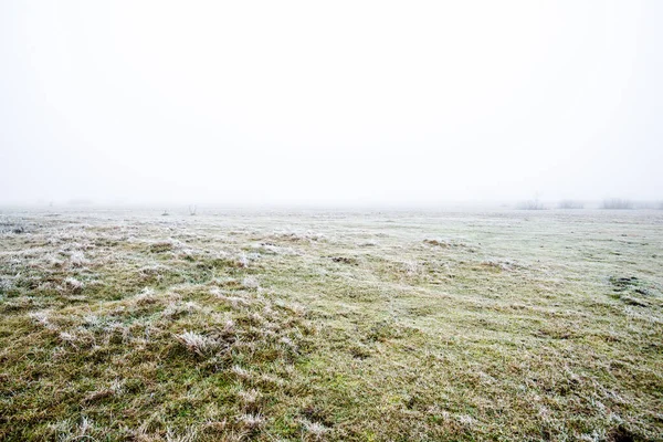 Paesaggio Invernale Campo Nebbioso Mattutino Gelo Neve Sull Erba Lettonia — Foto Stock