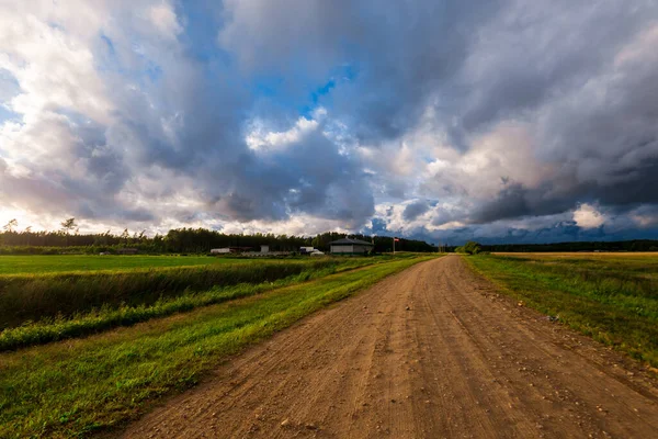 Drum Murdărie Printr Câmp Agricol Verde Culturi Apusul Soarelui Cer — Fotografie, imagine de stoc