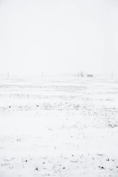 Widok Zaśnieżone Pole Wiejskie Lasem Tle Pochmurny Zimowy Dzień Łotwawidok — Zdjęcie stockowe