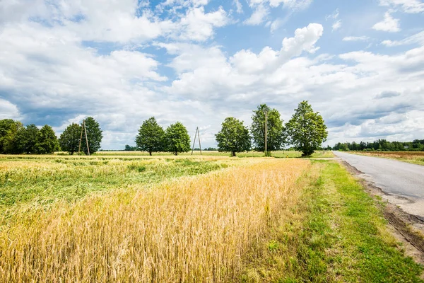 Paesaggio Estivo Vista Una Strada Asfaltata Campagna Vuota Attraverso Campi — Foto Stock