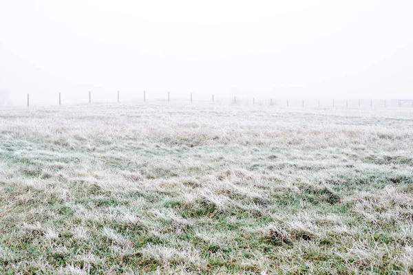 Winter Landscape Misty Morning Field Frost Snow Grass Latvia — Stock Photo, Image