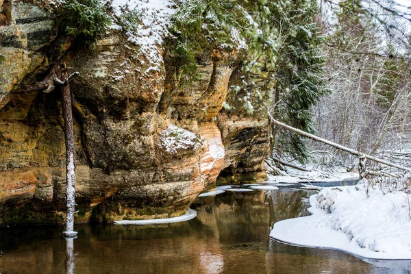 Paysage Forestier Hivernal Des Falaises Près Rivière Des Pins Arrière — Photo