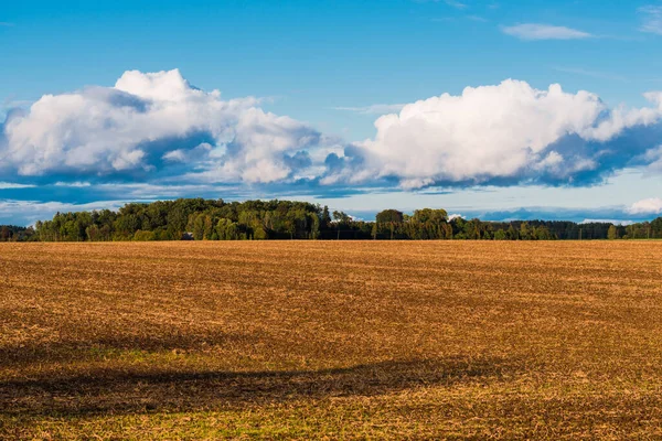 Storm Clouds Plowed Agricultural Field Forest Background Country Autumn Landscape — Stock Photo, Image