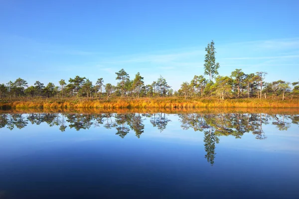 Lago Cristallino Palude Una Foschia Mattutina Riflessione Sull Acqua Cielo — Foto Stock